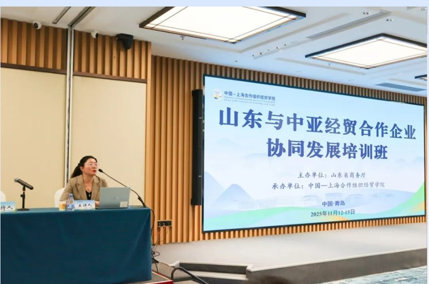 1764725193419054838.jpg 1764725193419054838.jpg