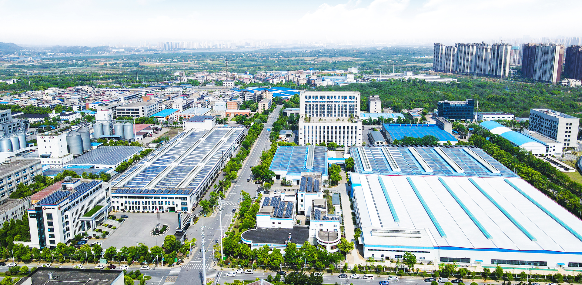 茄子精产国产品入口